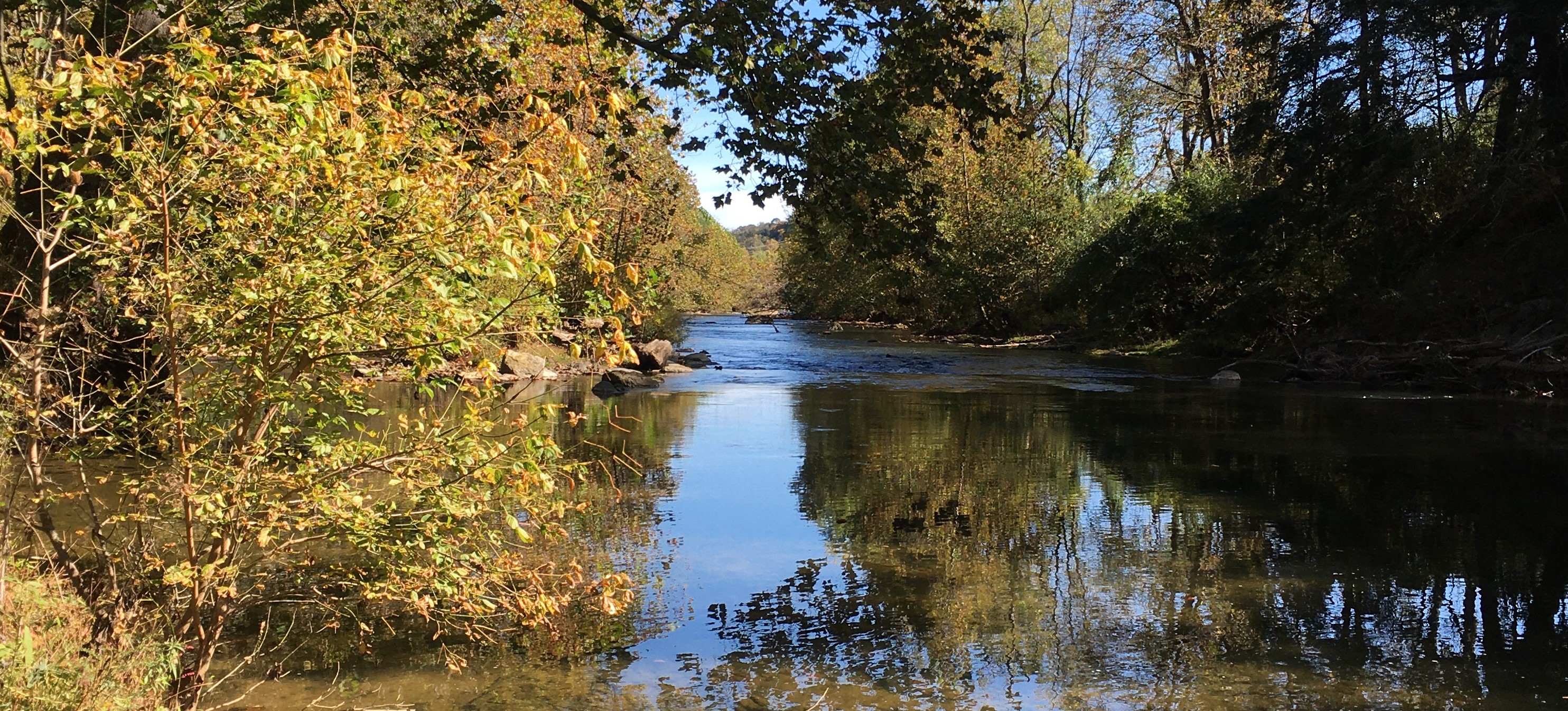 autumn river scene