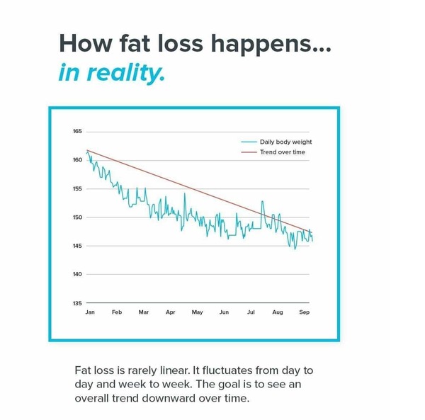 How Fat Loss Happens In The Real World...