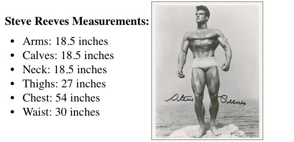 Steve Reeves Ideal Body Measurements