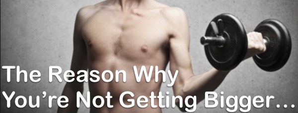 Why You're NOT Getting Bigger - PLUS - Sample Bulking Diet