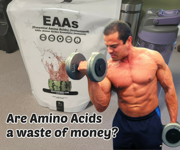 Amino Acids Supplements – are they a waste of money?