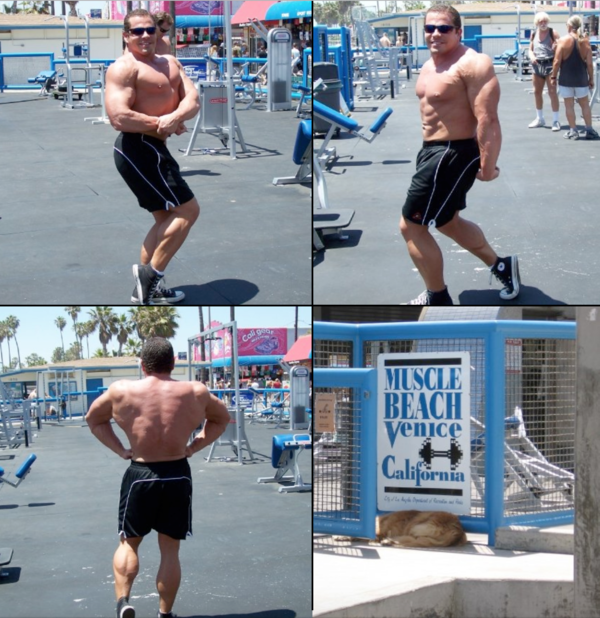 Working out at Muscle Beach in Venice California - circa 2008