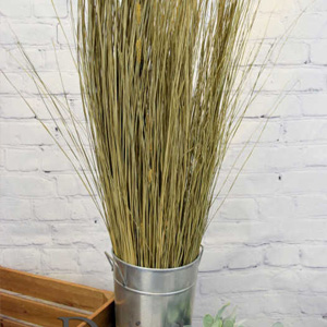Dried Grasses