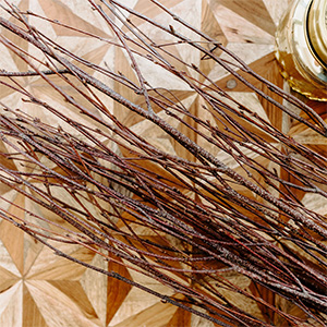 Decorative Branches
