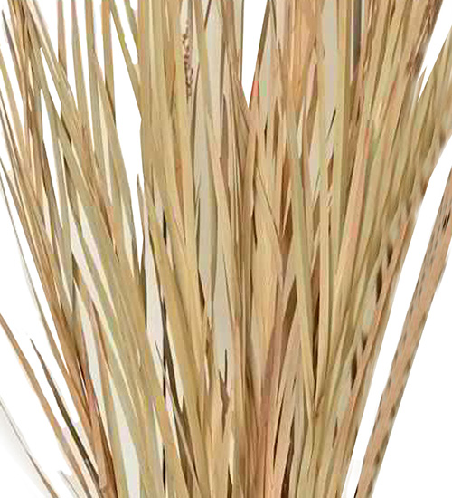 Ornamental Wild Grass (Dried)