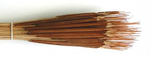 pencil cattails