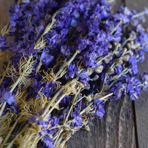 Dried Flowers