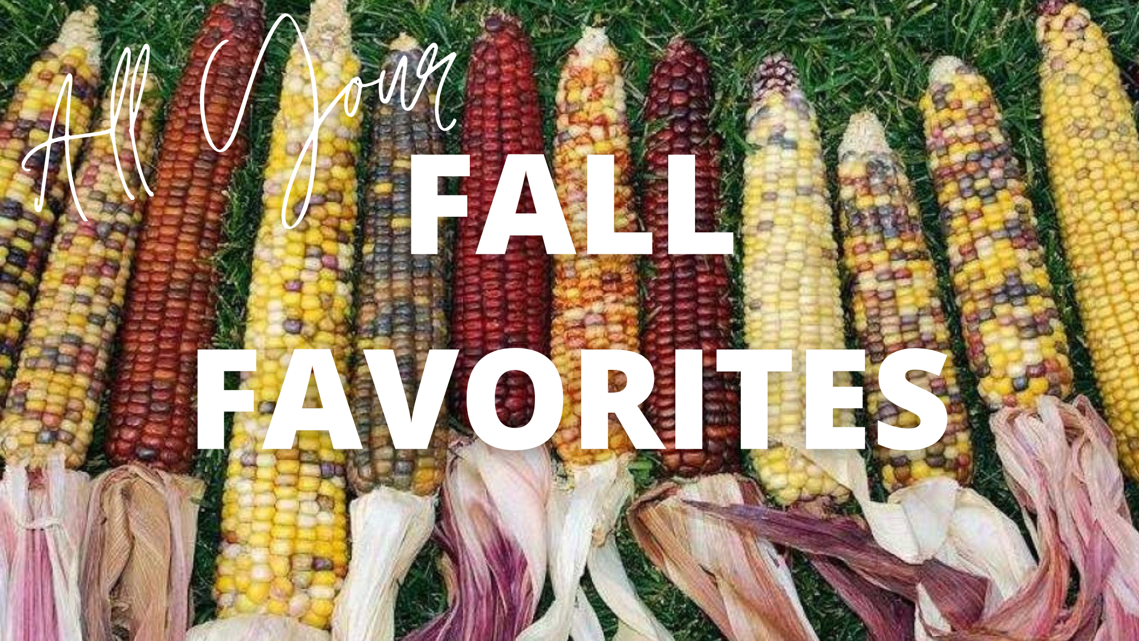 fall favorites in stock