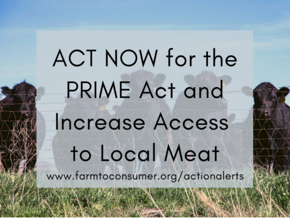 PRIME Act Action Alert with Cows