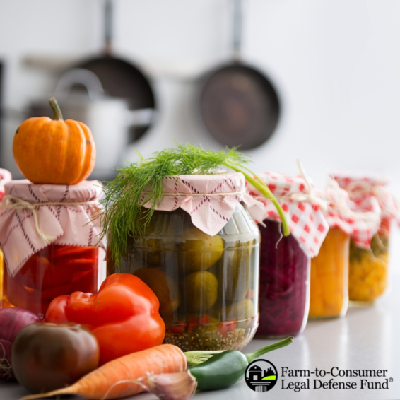 Canned and Fresh Food