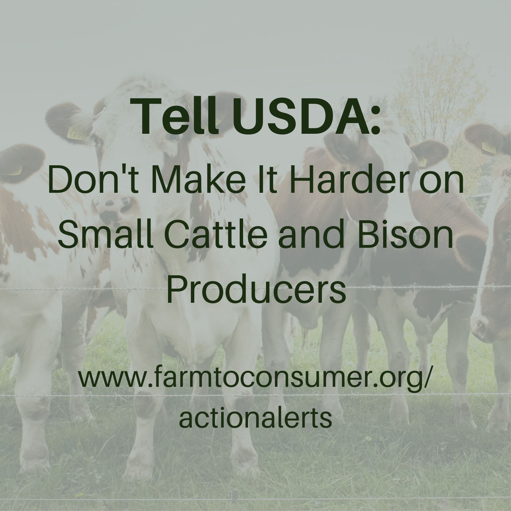 Washington State Pickles Action Alert