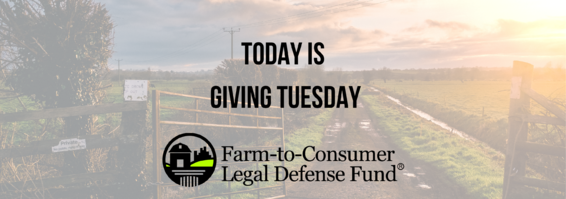 Giving Tuesday is Today!