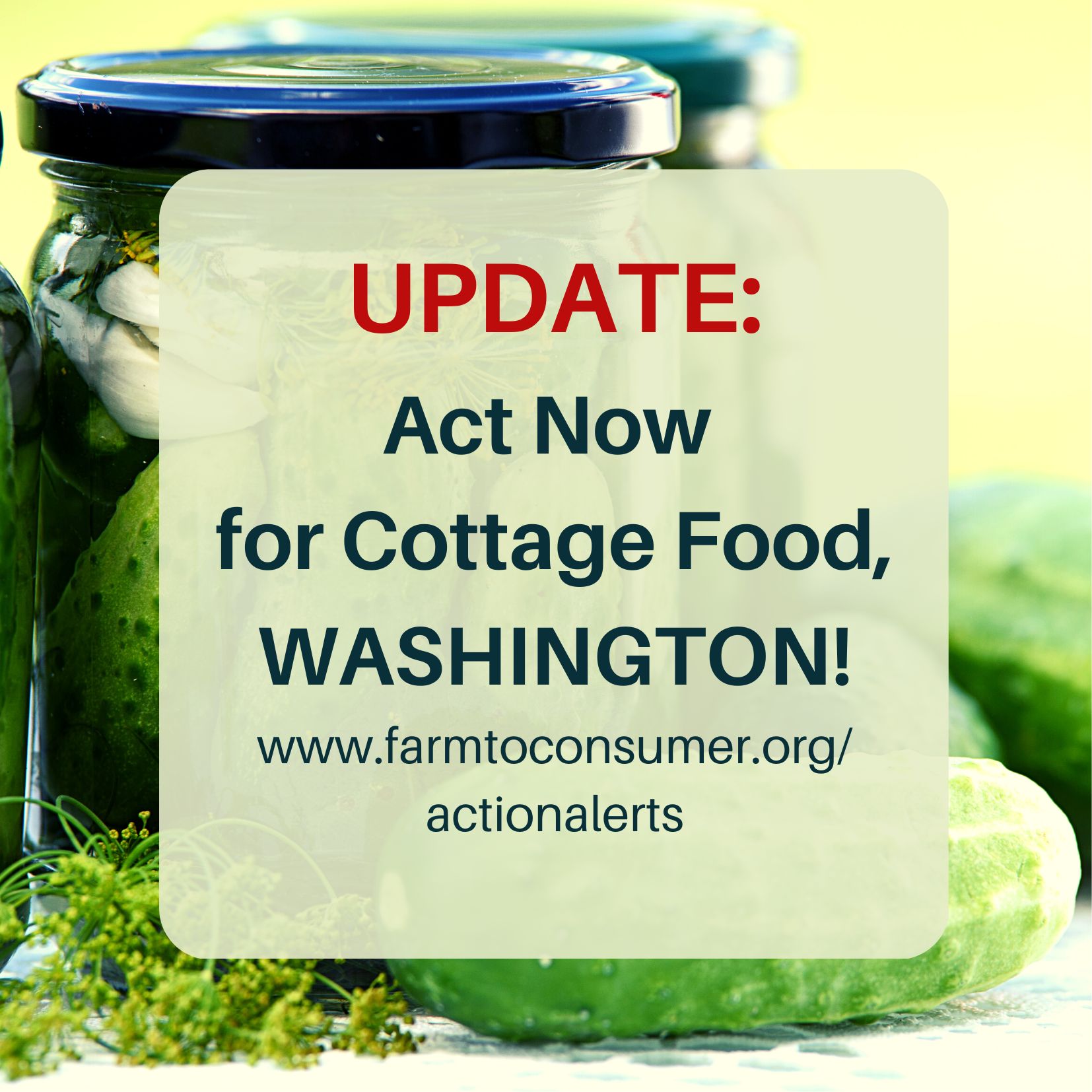 Washington State Pickles Action Alert