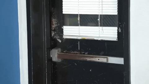 Nick Bramble - Freedom Revolution