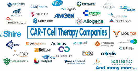The world’s only searchable, sortable database of CAR-T cell therapy companies that is publicly available.