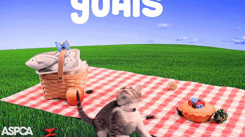 Free Downloads To Help You Reach Your Dreams