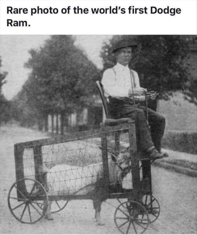 Ram