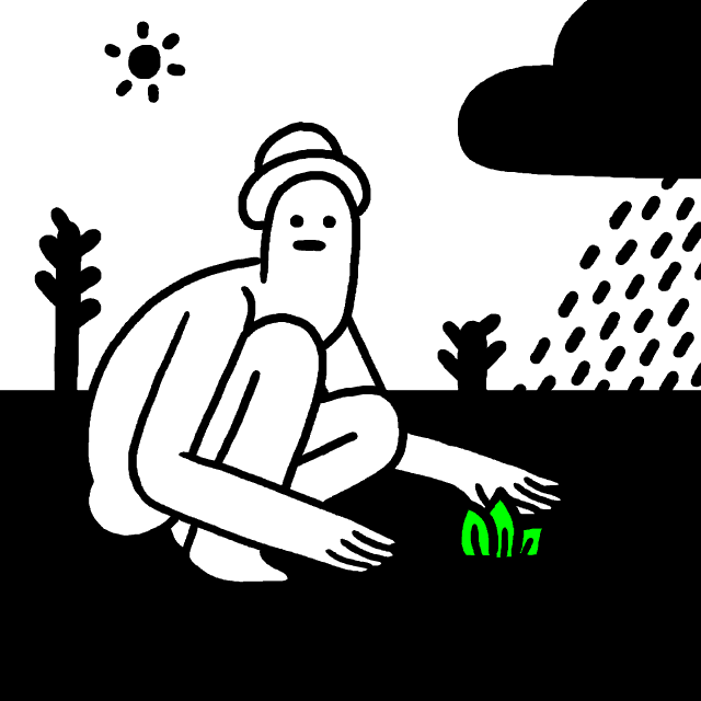 Natural Remedies For Ailments & Injuries