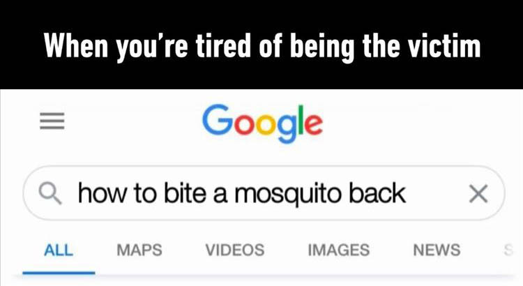 Mosquito