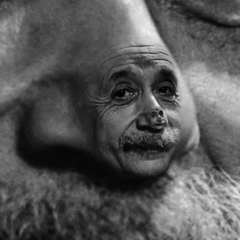 Einstein’s Vision Experiment To Manifest Your Dreams