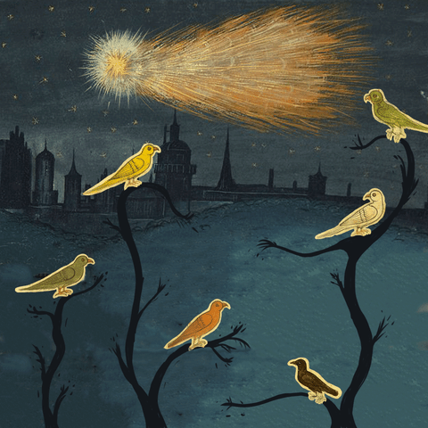 Guidance And Purpose