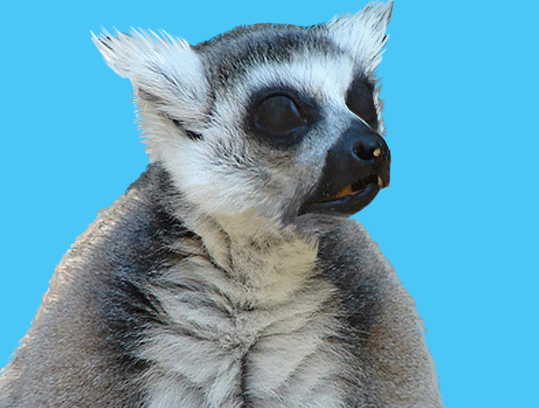 Real Results With Less Effort