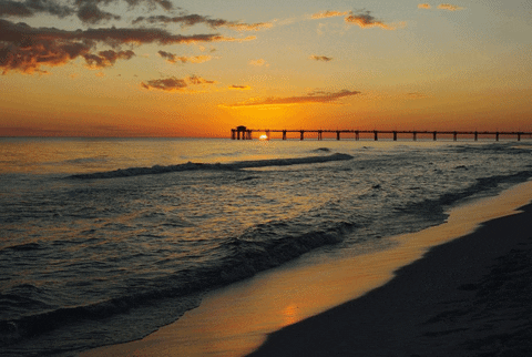 Claim Your Wealth Affirmations MP3