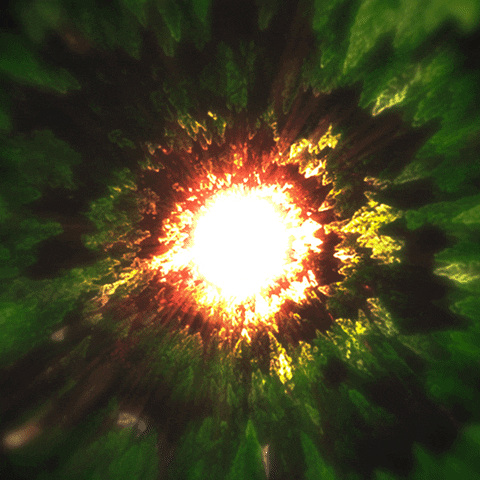 New Audio - “A Walk With The Light”