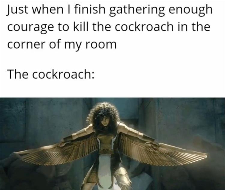 Roach