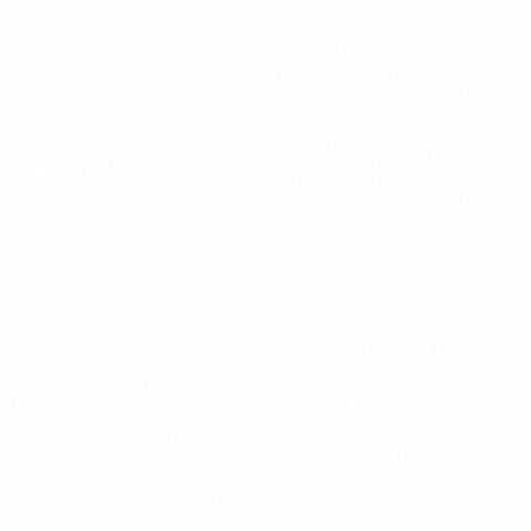 Your Brain Elevation Success Kit