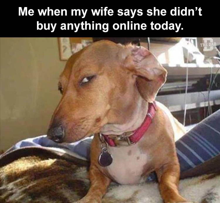online shopping dog
