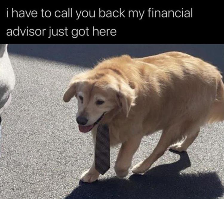 Advisor