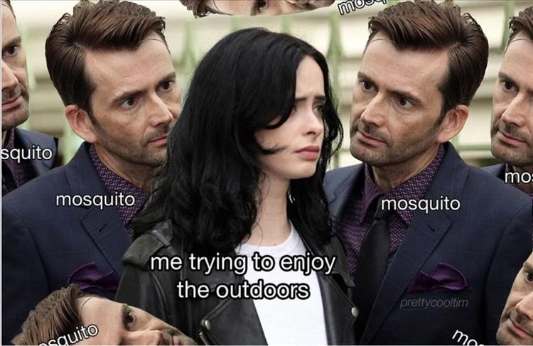 Mosquito