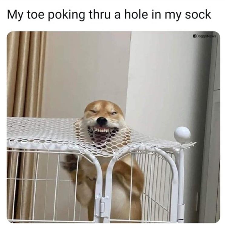 Toe