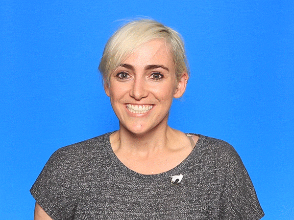 A Little Bit Of Everything