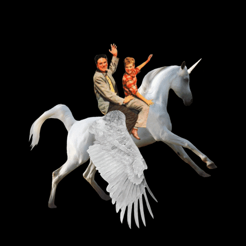 Free, Revolutionary Way To Bridge The Gap