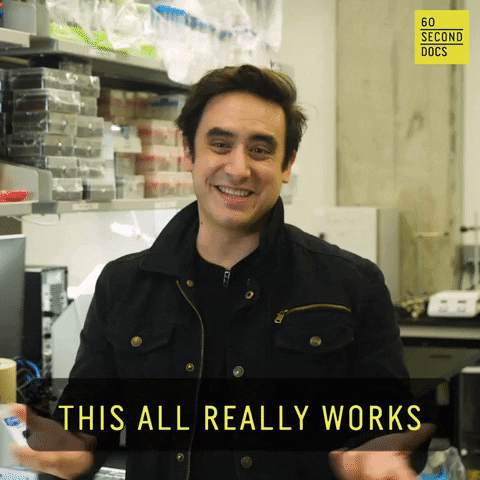 Powerful App Predicts the Future. Works For Everyone