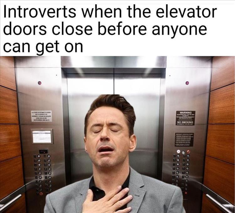 Introvert