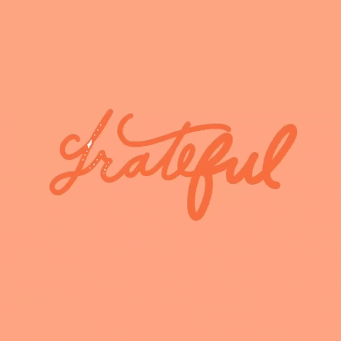 New Guide - “The Gratitude Plan”