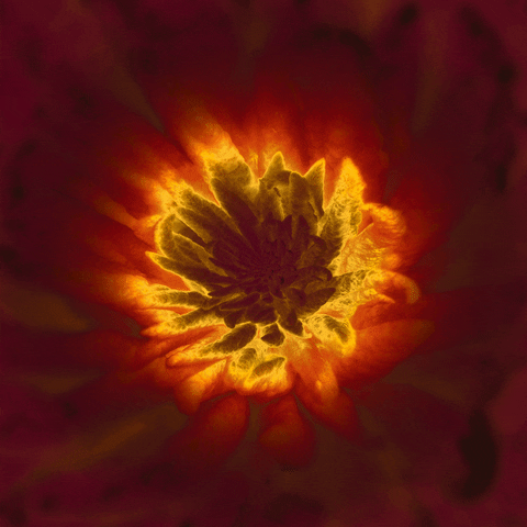 Dissolve Stuck Energy In 5 Minutes