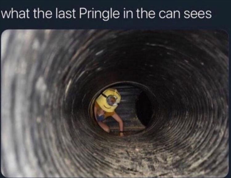 Pringle