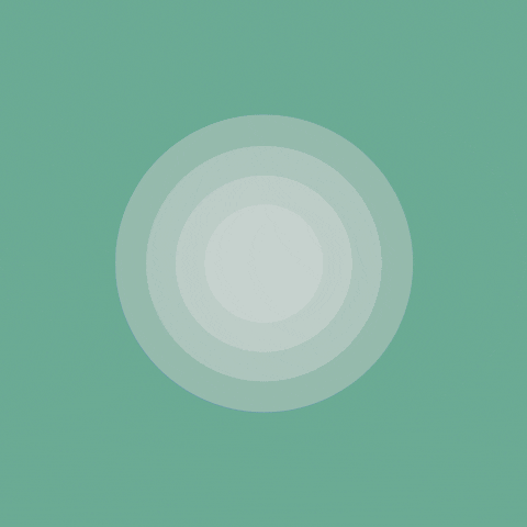 Life Changing Zen Principles