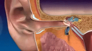 A Revolutionary Way To Fine Tune Your Mind, Body, & Life