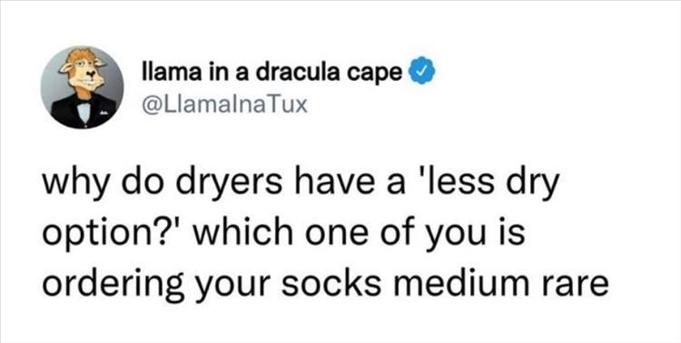 Dryer