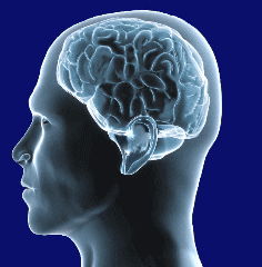 Free Your Mind From Negative Patterns