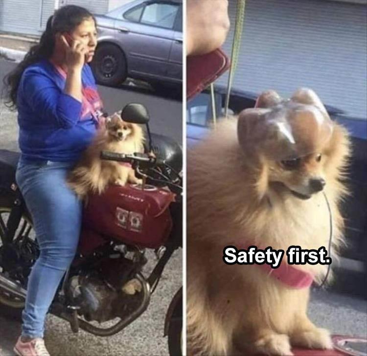 Safety