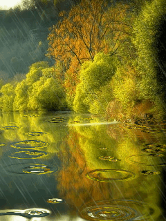 Give Yourself Peace Of Mind