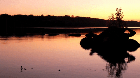 I Want You To Have This