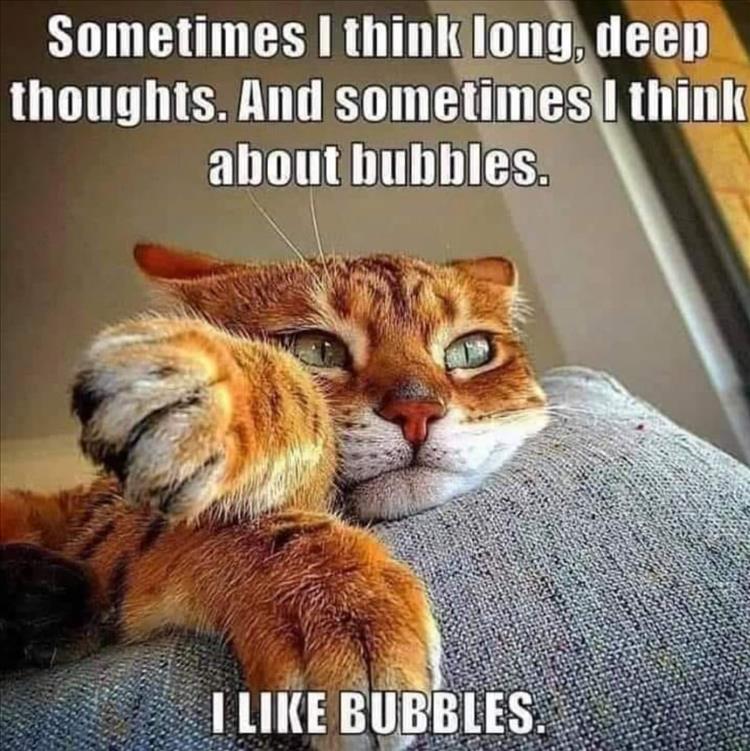 Bubbles