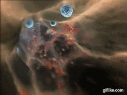 The Secret To Protect And Heal Your Immune System